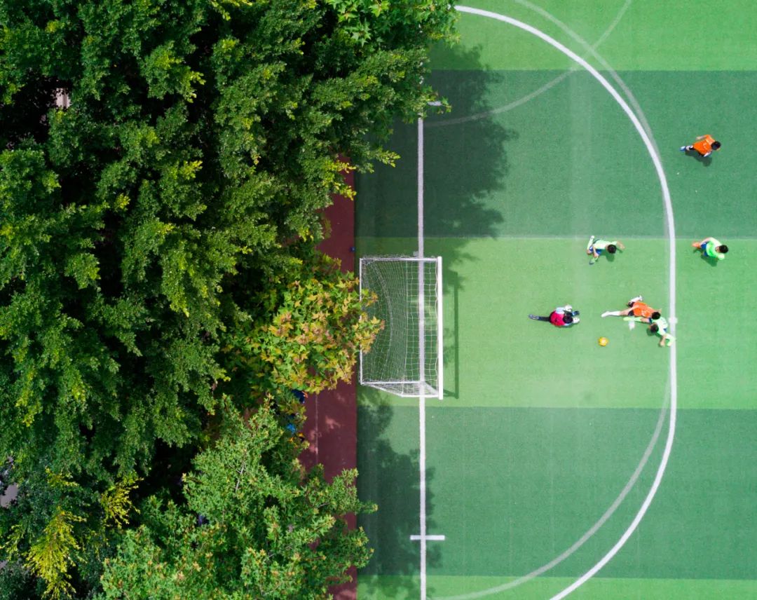 体育官网入口整合各大联赛动态助力球迷高效获取权威信息